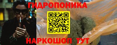 амф Гусь-Хрустальный