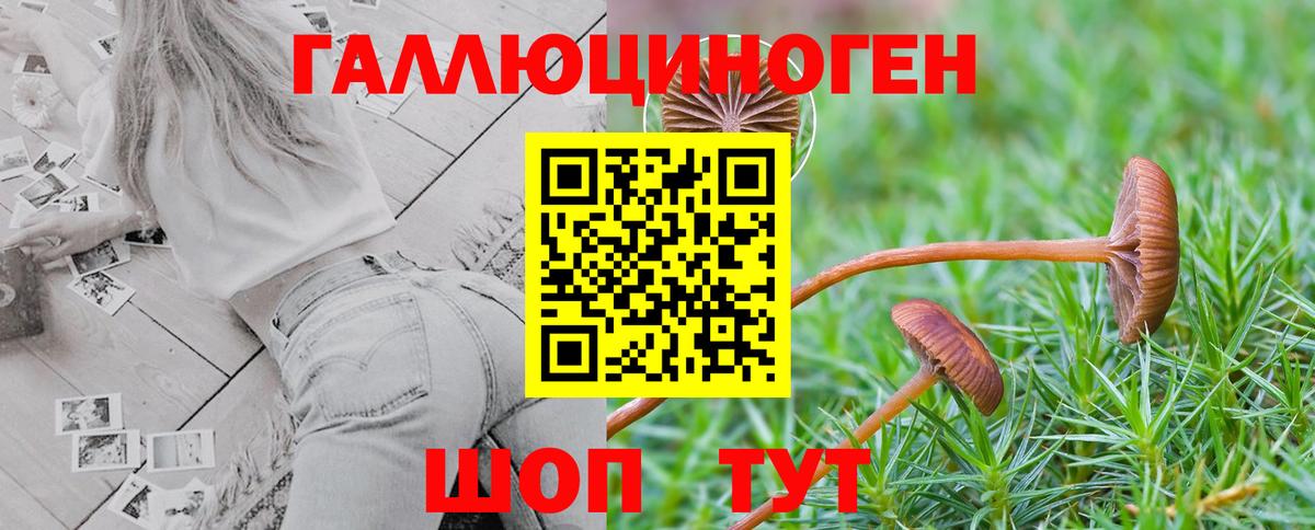 Галлюциногенные грибы прущие грибы  Вход с VPN  Новошахтинск 