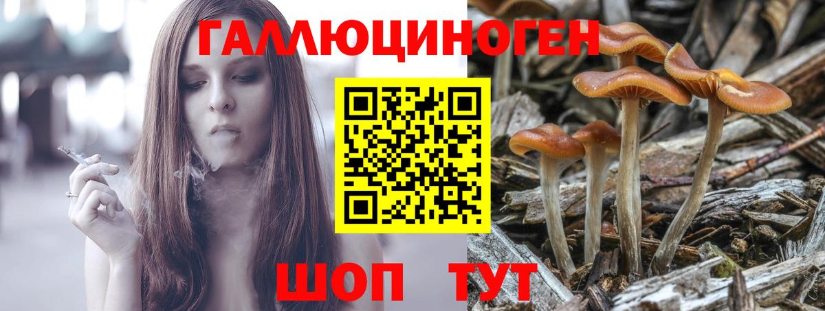 Галлюциногенные грибы прущие грибы Новошахтинск