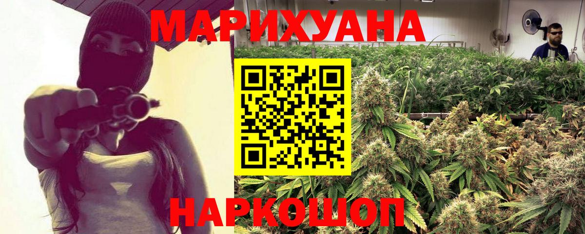 Конопля семена Новошахтинск